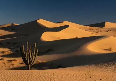 Imagen PNG para descargar